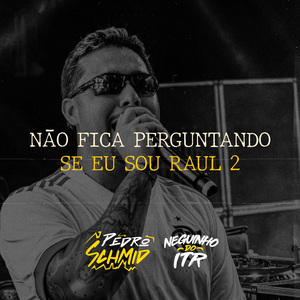 Não Fica Perguntando Se Eu Sou Raul (2)