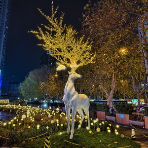 一介书生（温柔男生版）