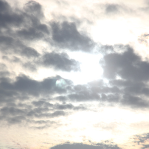 Rain-言叶之庭（觉醒之心play)（Cover 秦基博）