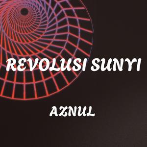 Revolusi sunyi