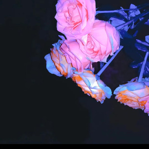 For Minnie's vlog;))