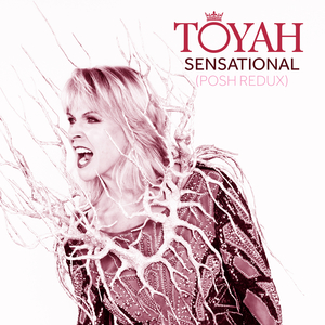 Sensational (feat. Robert Fripp) (Posh Redux)
