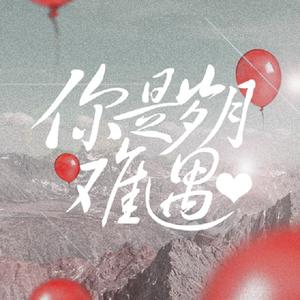 你是岁月难遇 唱：九渊