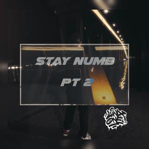 Stay Numb, Pt. 2
