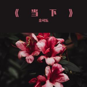 萱草花（cover 张小斐）