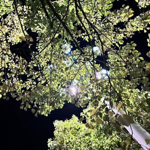 甜蜜说唱小情歌