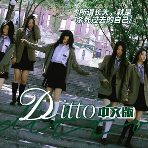 Ditto（中文版）