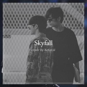 【南以颜喻】Skyfall（难言无常）（翻自 adele adkins）