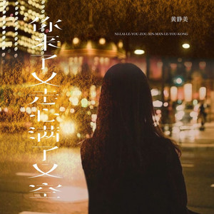 你来了又走心满了又空 (烟嗓女声版)