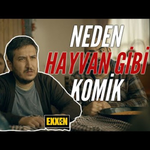 Dizinin Bölümlerindeki Formülasyon