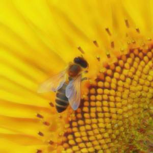 Baby, I'm Losing Control