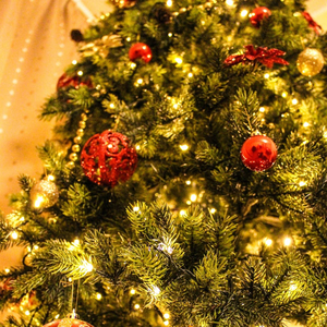 In a Gingerbread House