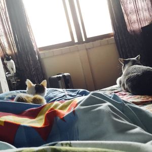 我在中山四路右转