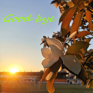 Goodbye