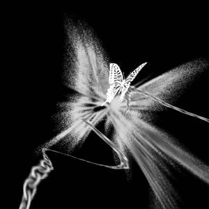 록화원（摇滚花园）