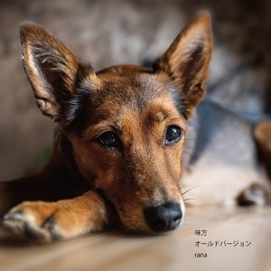 味方 (old version)