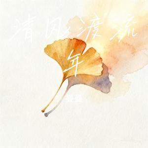 清风渡流年