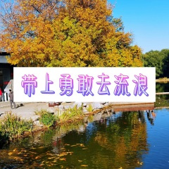 一醉渡忘川 (空灵版)