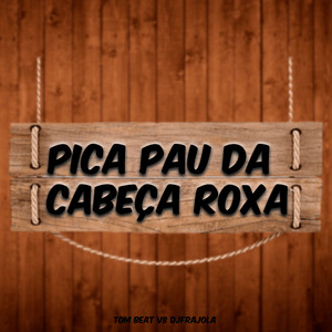 Pica Pau da Cabeça Roxa