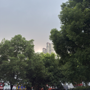 能让我惦记的只有你