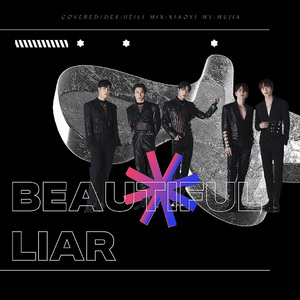 Beautiful Liar