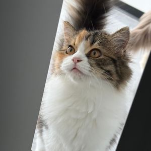 银河下的浪漫(刺刺)