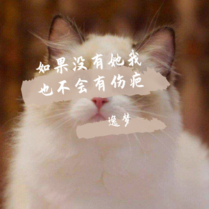 如果没有她我也不会有伤疤