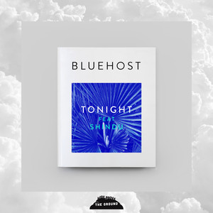 Tonight (feat. Shindu) (Xinobi Remix)