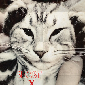 Don't let me down X Beast