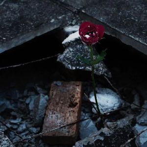 我真的好难过！