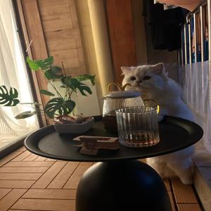 在落日大道浪漫出逃