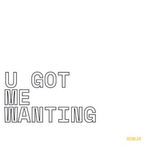 U Got Me Wanting