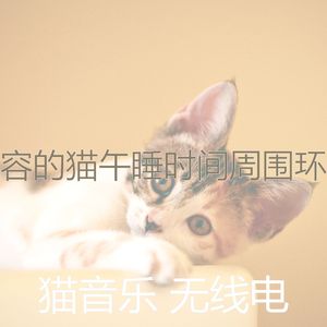 抚慰的睡猫回忆