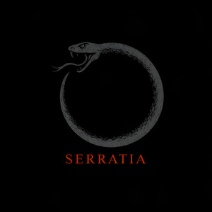 Serratia