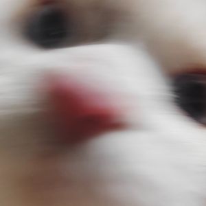 下雨了你在哪录音版