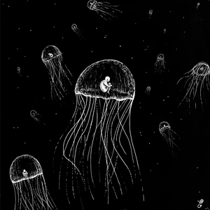 Jellyfish