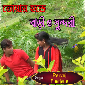 তোয়ার হন্ডে বাড়ী ও সুন্দরী