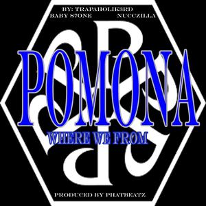 Pomona (feat. Nucczilla & Baby S7one)