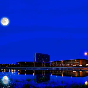 《霍林河畔的守望》