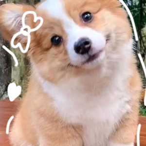 夜にかける (Speed up)