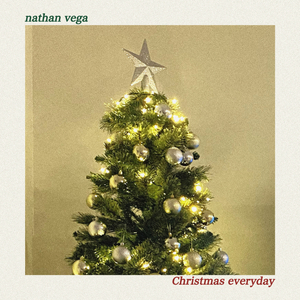 Christmas everyday