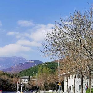 落在生命里的光