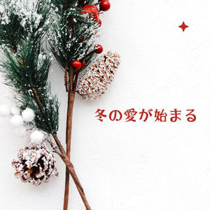 冬の愛が始まる