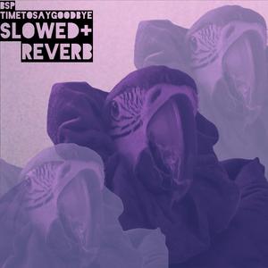 Rapture (Slowed + Reverb) (Acoustic Version))