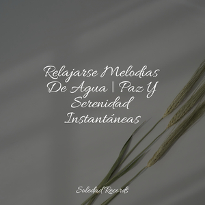 Ambiente de Sanación