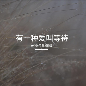 有一種愛情叫等待（俏郎君国语版）