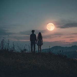 Moonlight Hills