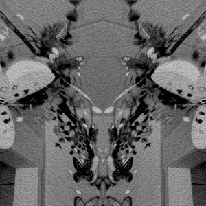 Slimy Sailor (feat. Tokes)