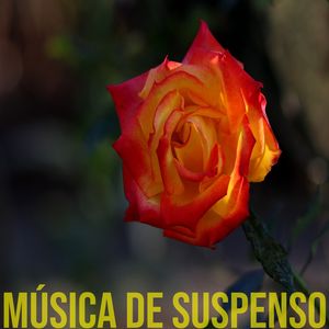 cero
