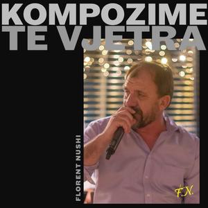 T'kisha Krahë Të Fluturonja